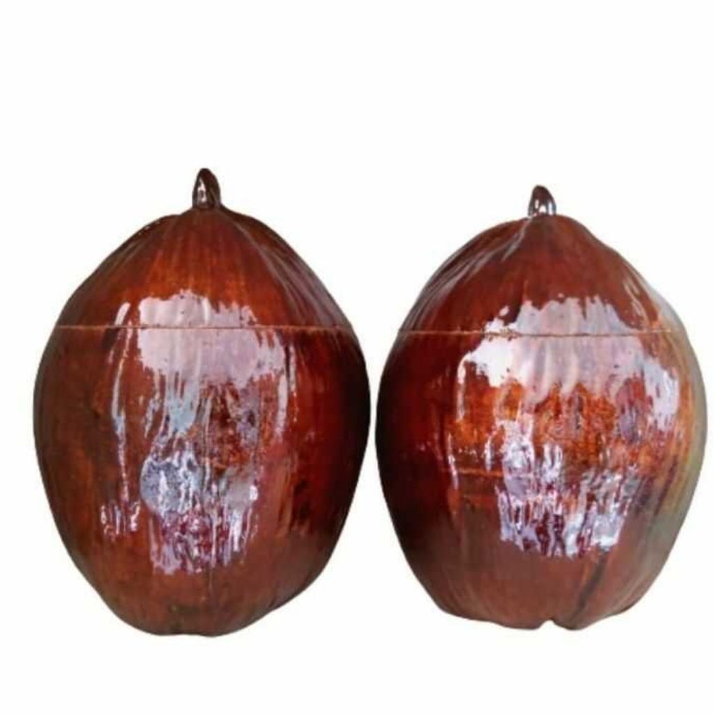 Vỏ Bình Trà Trái Dừa Có Sơn Bóng Màu Nâu Đỏ Và Bình Trà 1000 - 1200ml - bình trà trái dừa