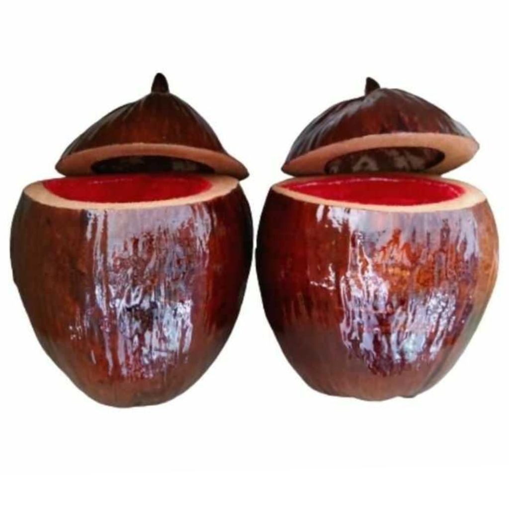 Vỏ Bình Trà Trái Dừa Có Sơn Bóng Màu Nâu Đỏ Và Bình Trà 1000 - 1200ml - bình trà trái dừa