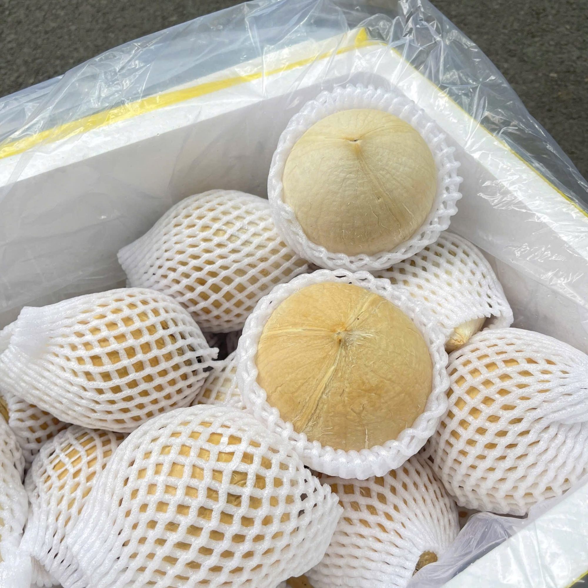 Cung cấp dừa gọt sọ giá sỉ