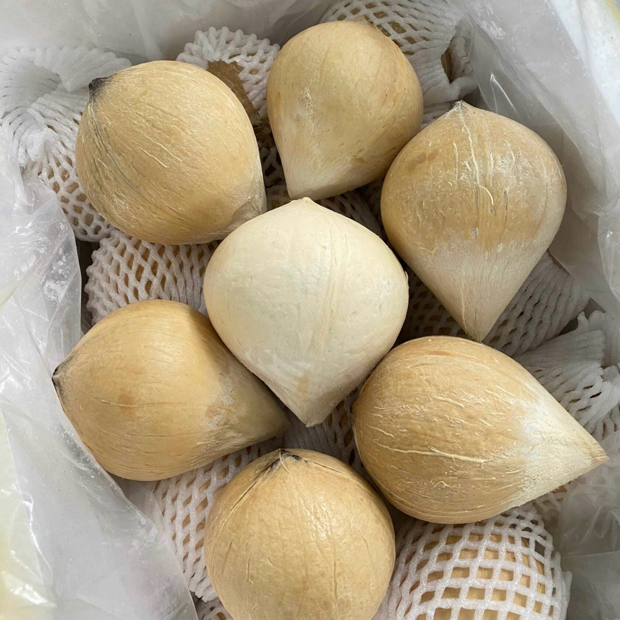 Dừa tươi gọt sọ size nhỏ