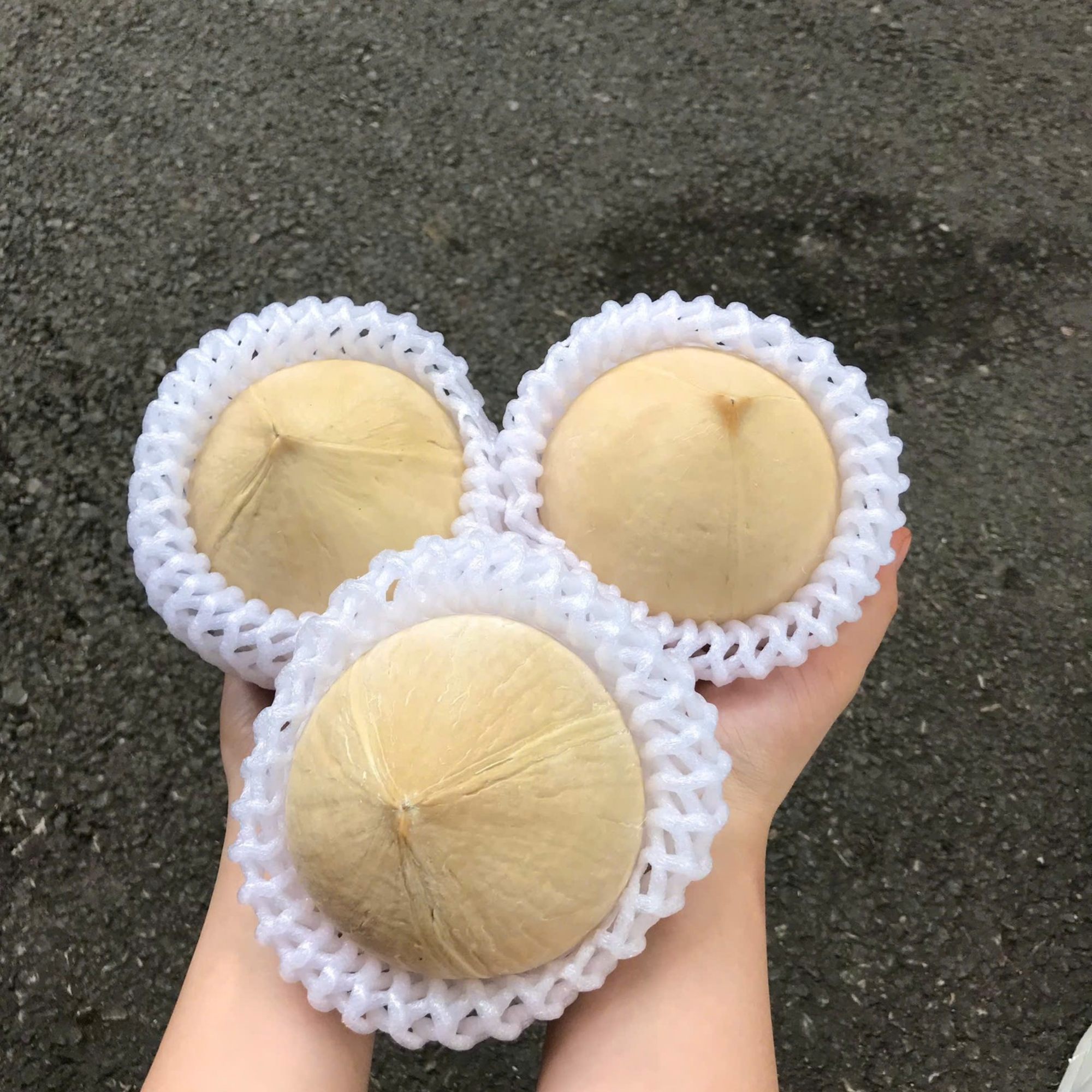 Dừa gọt sọ size vừa