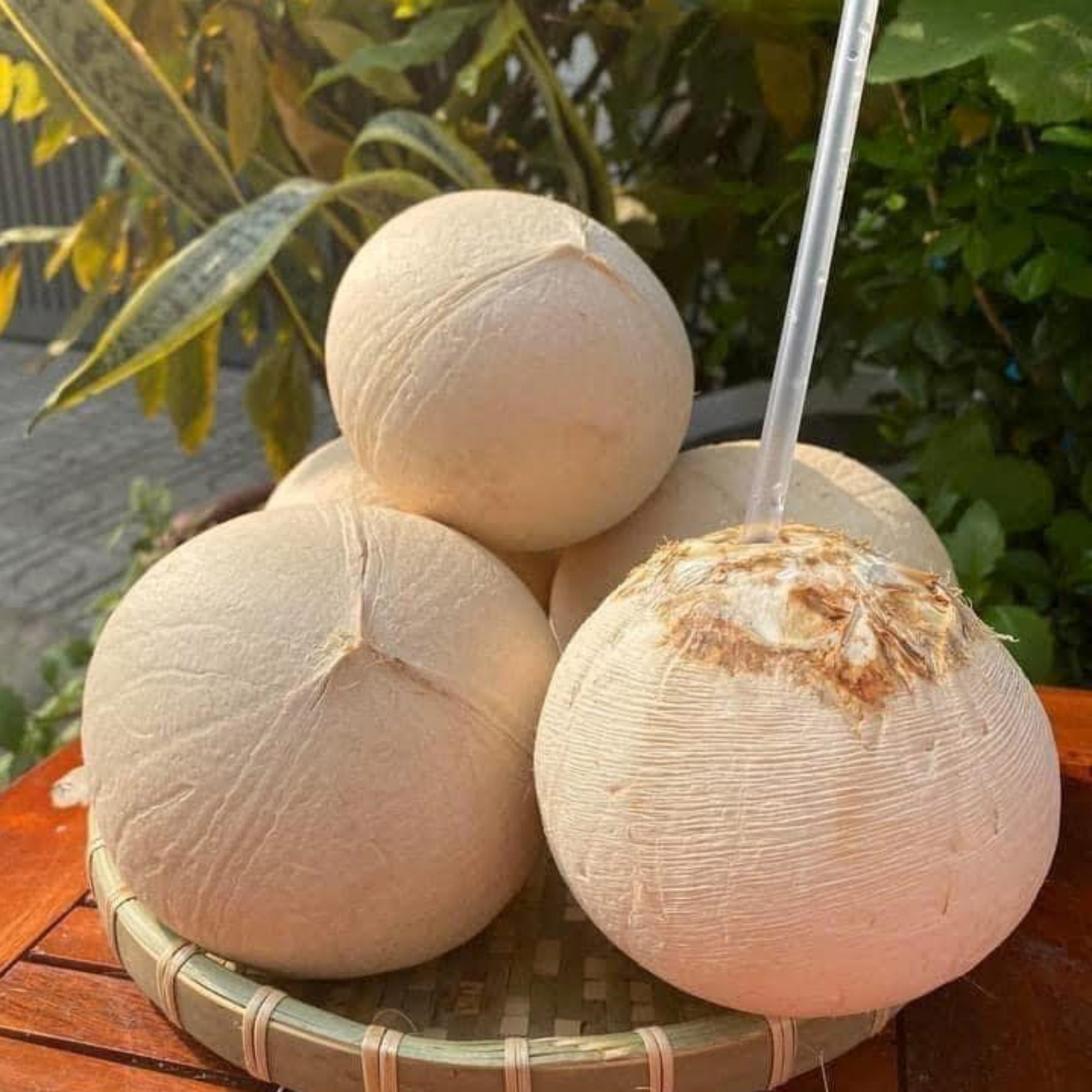 Dừa xiêm xanh gọt trọc size lớn