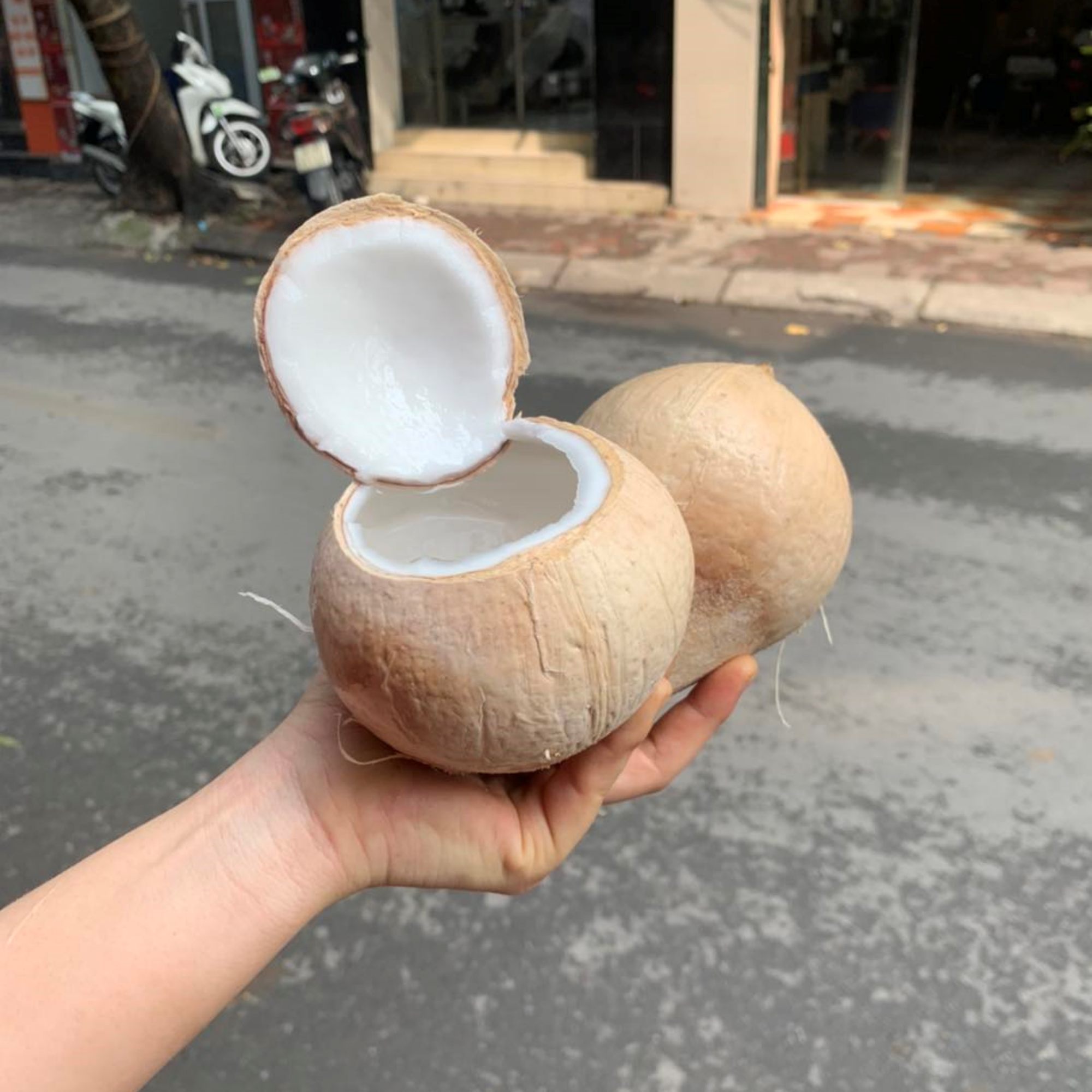 Dừa xiêm xanh gọt trọc dễ bảo quản trong ngăn mát