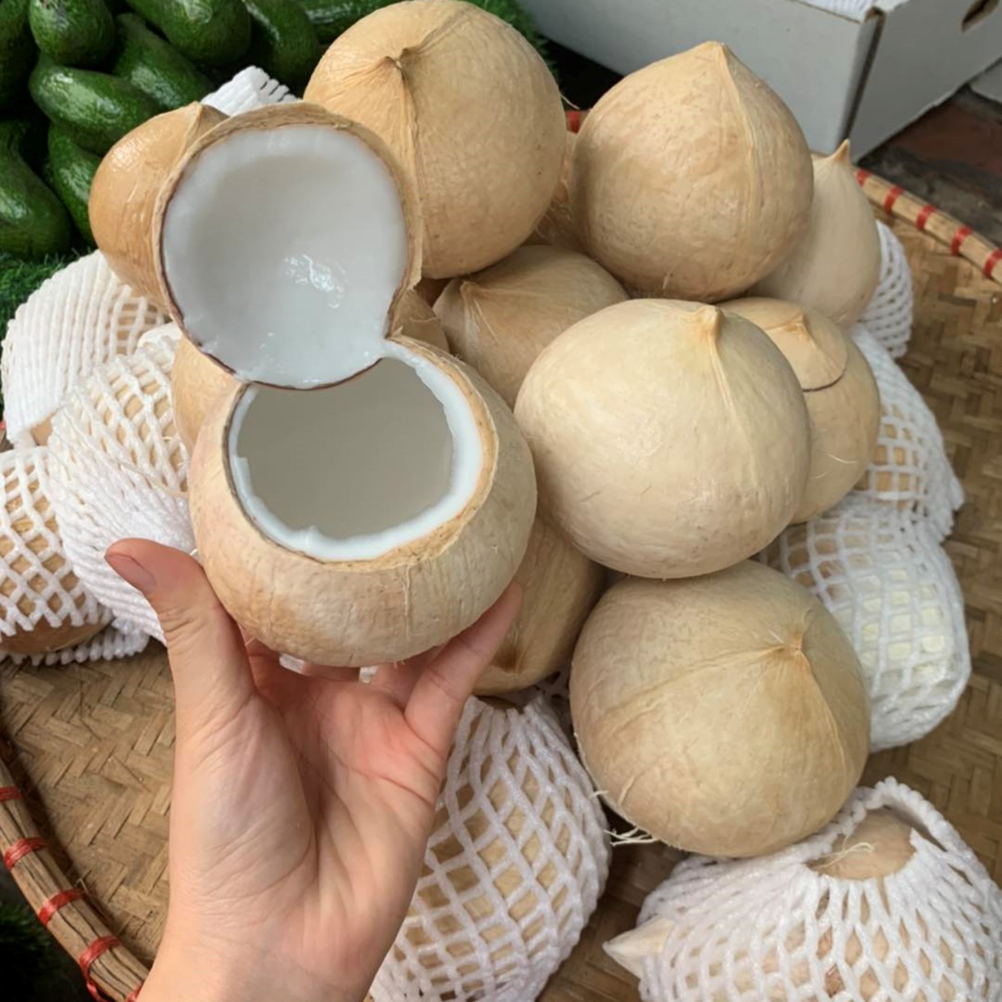 Nước dừa tươi ngọt, thanh mát nên được ưa chuộng sử dụng